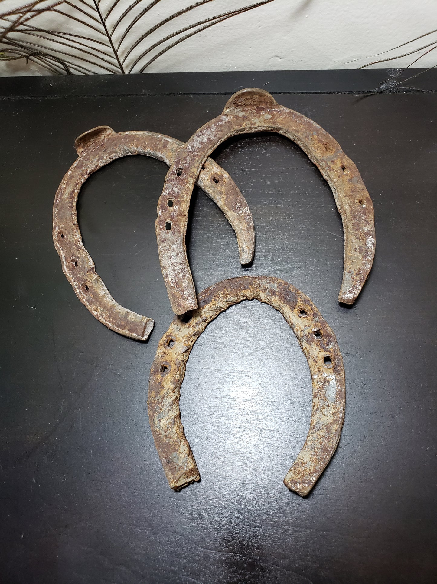 Lucky vintage horse shoes