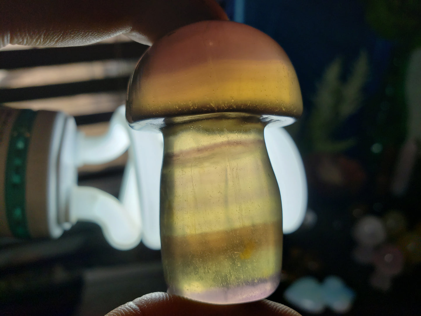 Rainbow Fluorite Mushroom #3