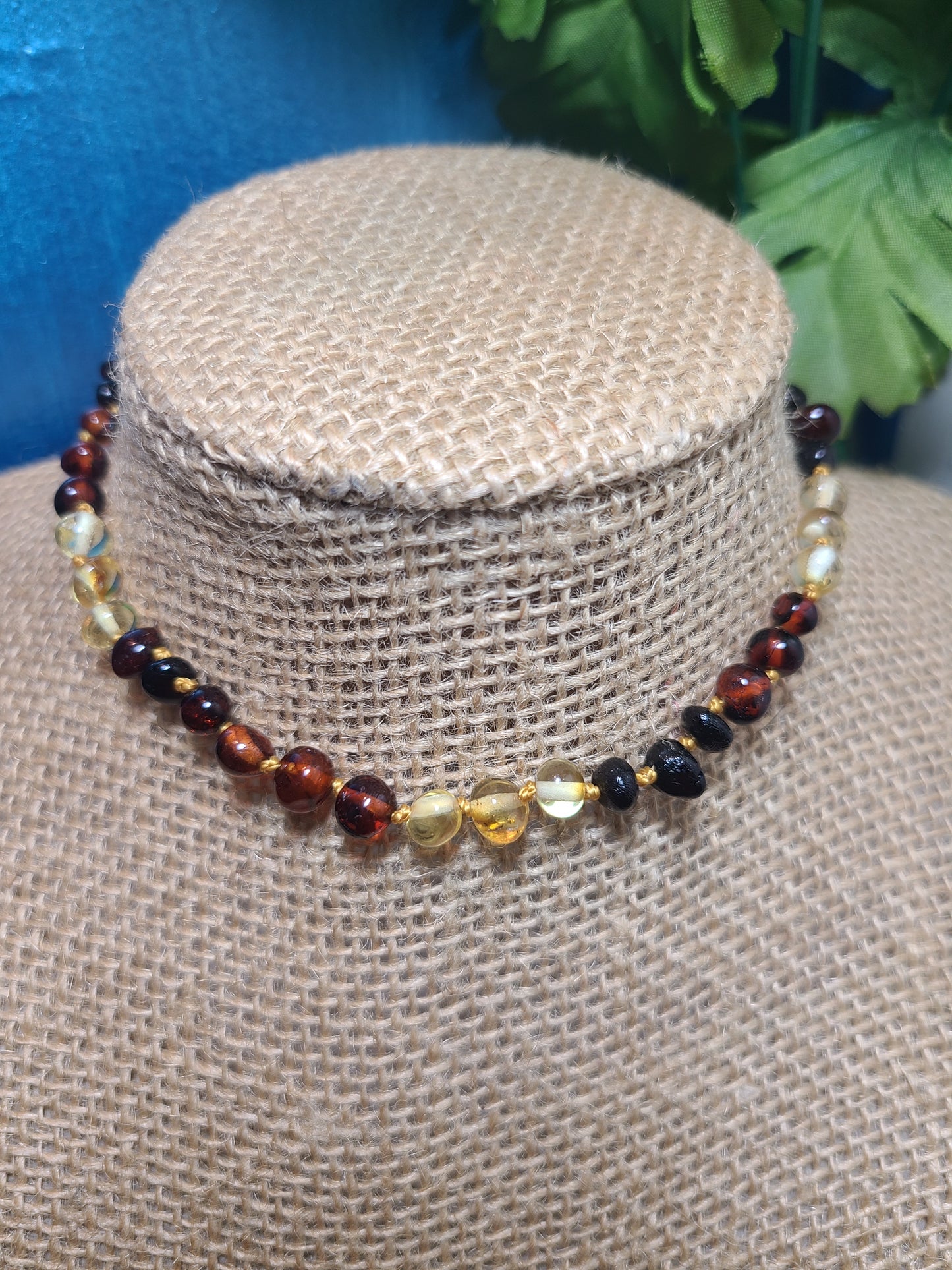 Amber Baby Necklace - multi color